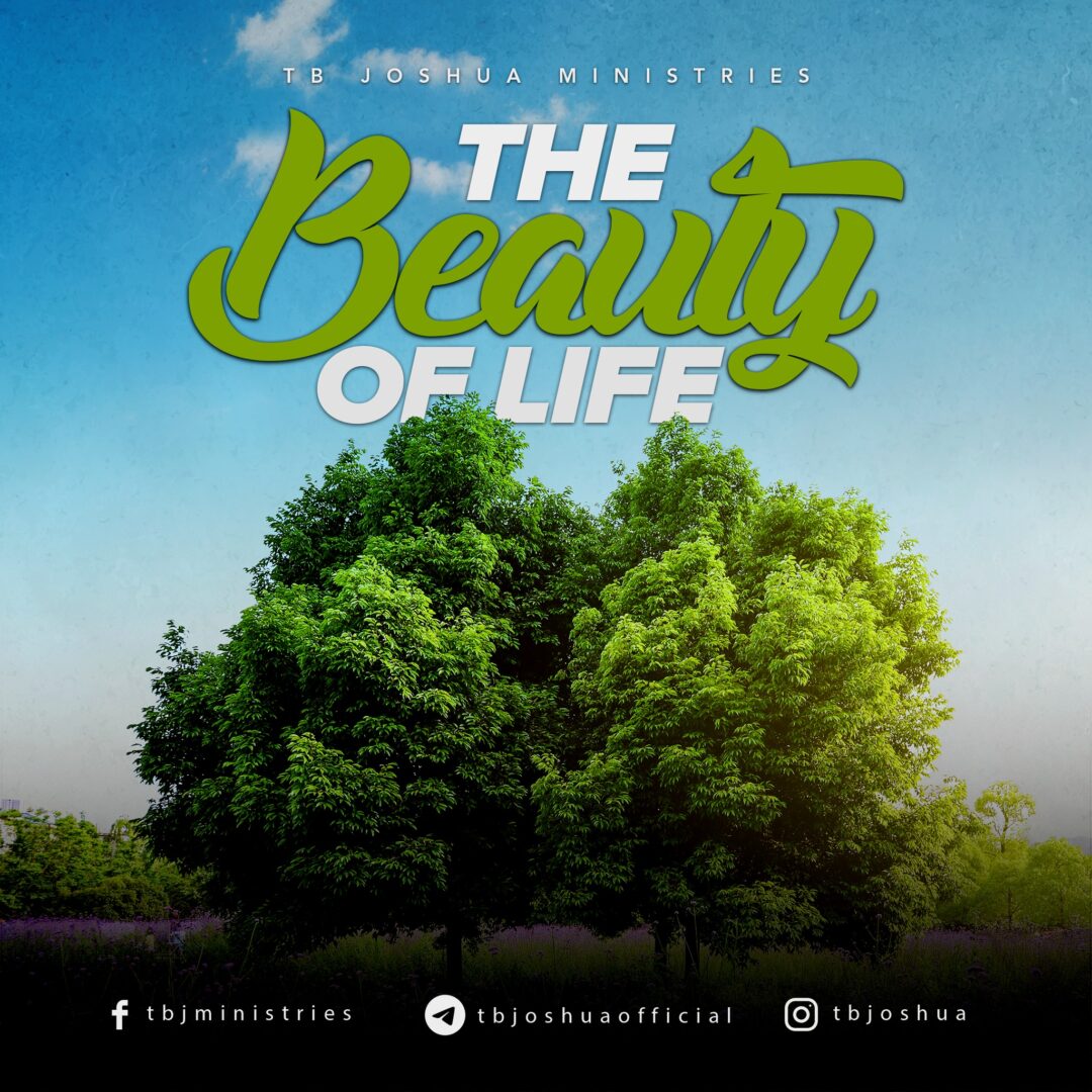 THE BEAUTY OF LIFE