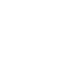 WEB APPLICATION