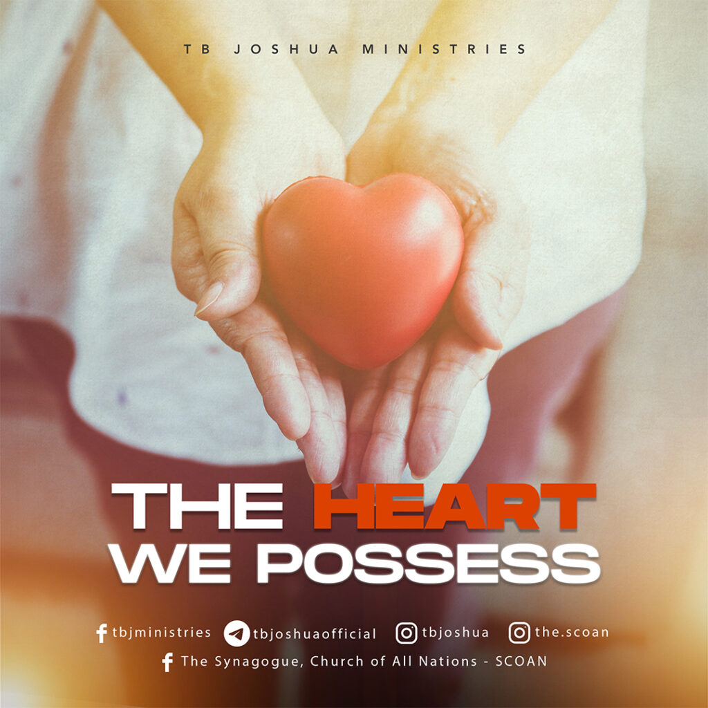 THE HEART WE POSESS